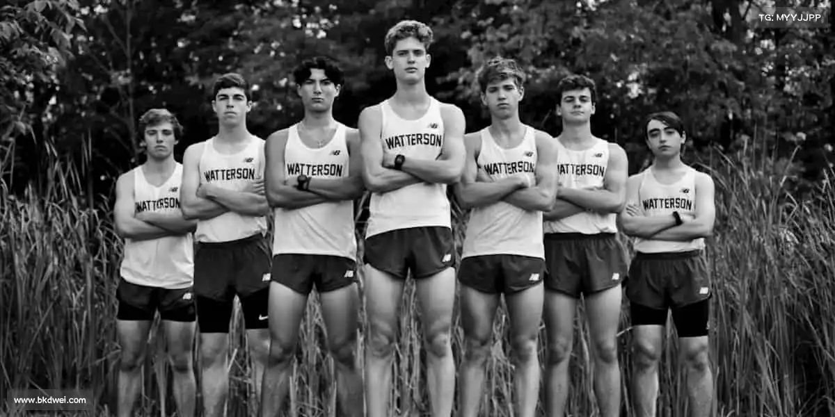 为什么选择我们